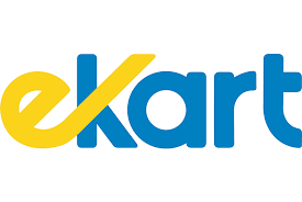 e kart